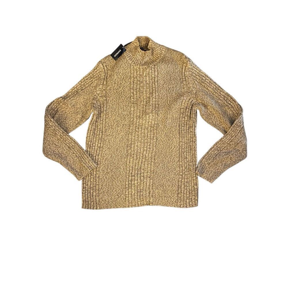 EXPRESS TURTLENECK SWEATER